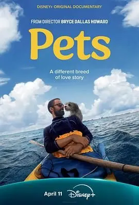 《宠Pets》萌翻来袭！揭秘你不在家时，宠物们的疯狂生活！