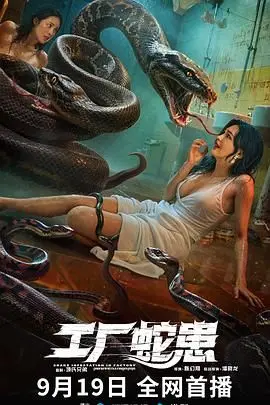 《工厂蛇患》：当致命毒蛇闯入钢铁丛林，一场惊魂未定的生死搏斗！