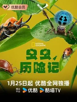 《虫虫历险记》：一场关于生存的史诗，揭示了自然生态的残酷与伟大！